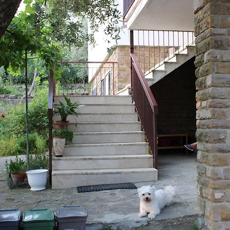 Trespiano Bella Vista Bologneseヴィラ エクステリア 写真