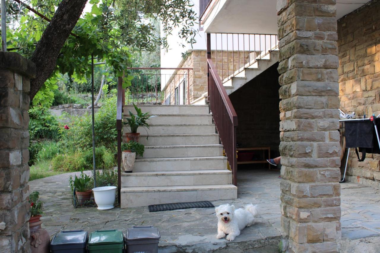 Trespiano Bella Vista Bologneseヴィラ エクステリア 写真
